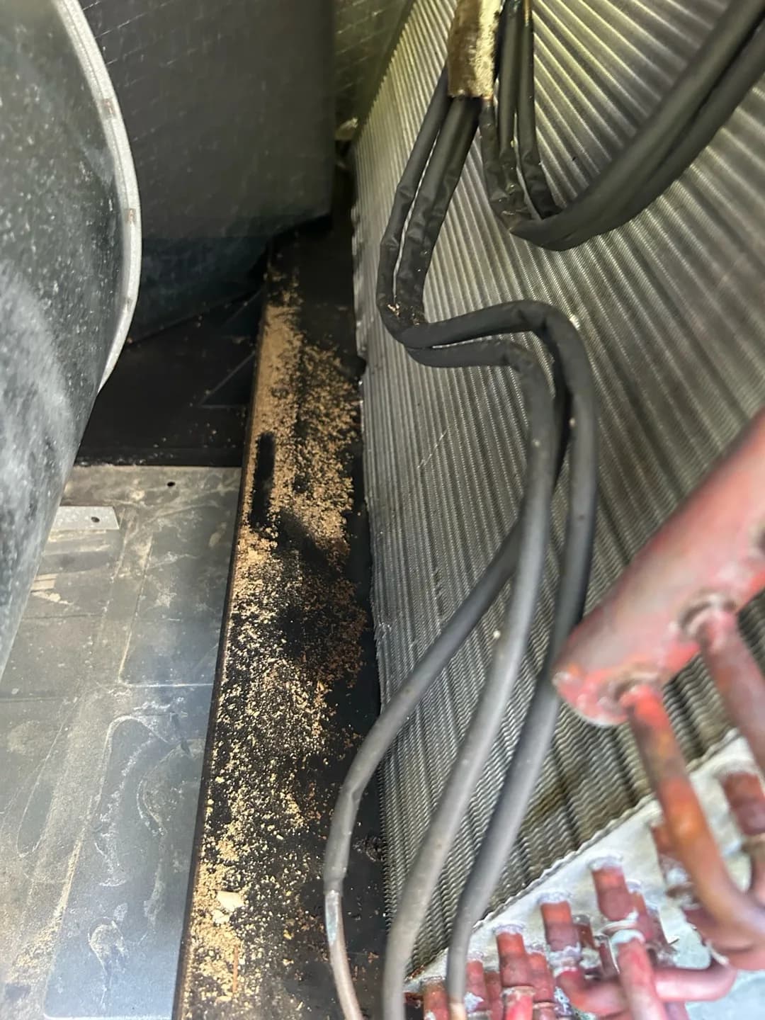 Dust and Growth Inside a Two-System Home in Chapel Hill