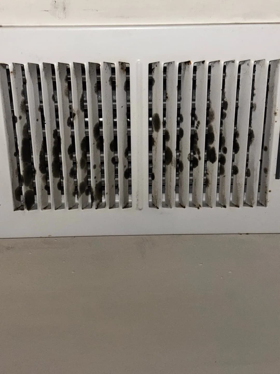 What Is the Growth on Vents and Ducts in a Raleigh Apartment?