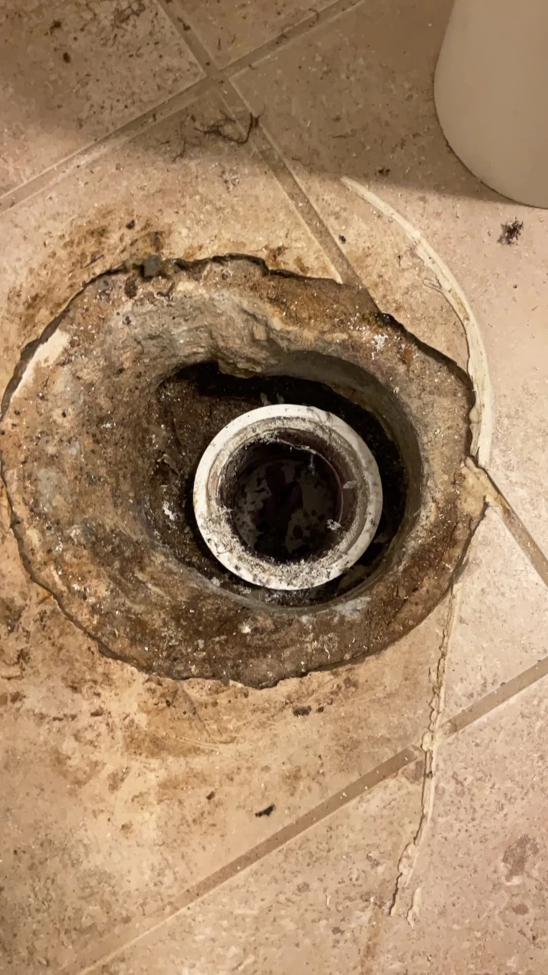 Toilet Reset After Flange Repair in Raleigh's 27614 Area
