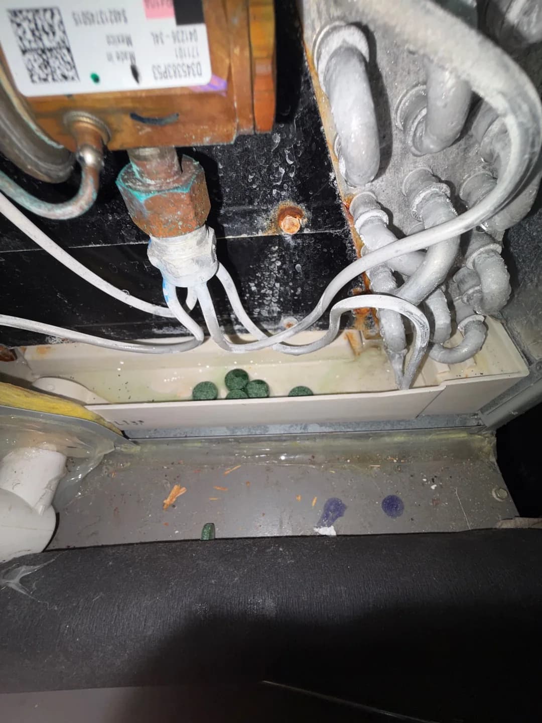 How Did a Summer Tune-Up Get My Nest Working in Chapel Hill?