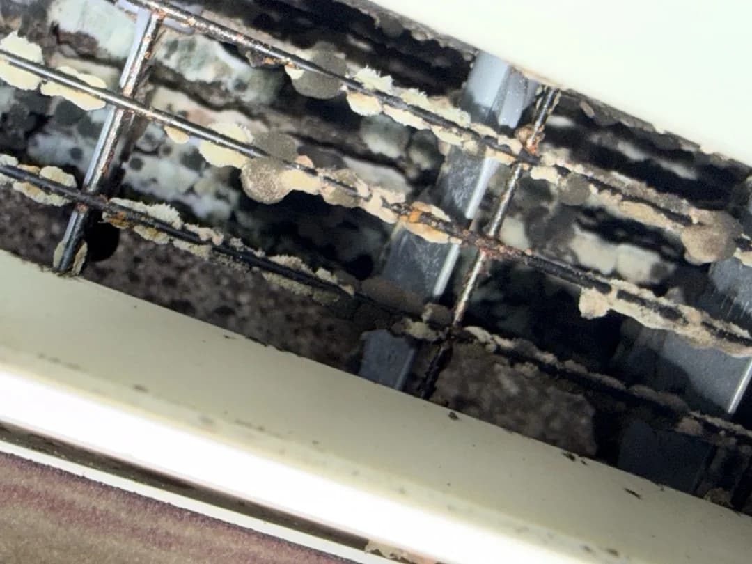 Mini-Split Leaking Water Inside the House in Cary