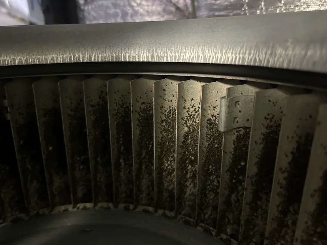 Is Growth Inside My HVAC System Normal in Raleigh?
