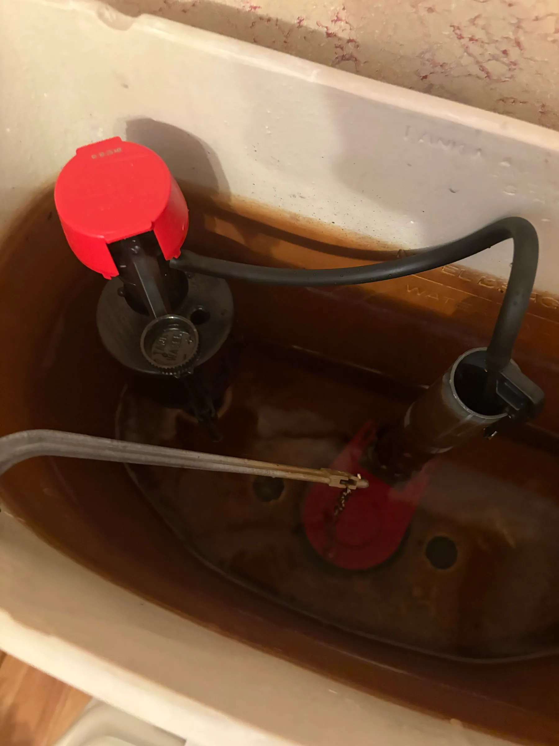 Why Is My Toilet Leaking in Cary?